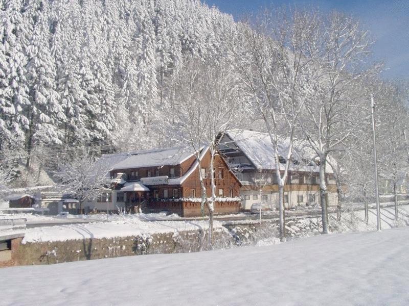 Gruener Hof Ξενοδοχείο Zell am Harmersbach Εξωτερικό φωτογραφία